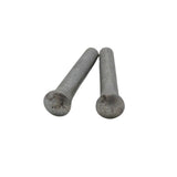 COPPIA PERNI DI FISSAGGIO CERNIERA PORTA FIAT 500 N D GIARDINIERA